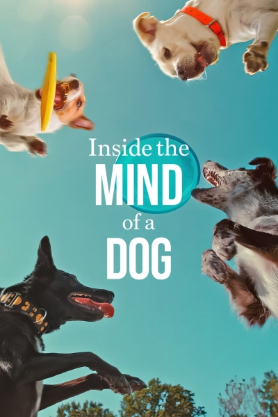 Inside the Mind of a Dog / Inside the Mind of a Dog (2024)