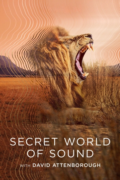 David Attenborough: Thế giới bí mật của âm thanh, Secret World of Sound / Secret World of Sound (2024)