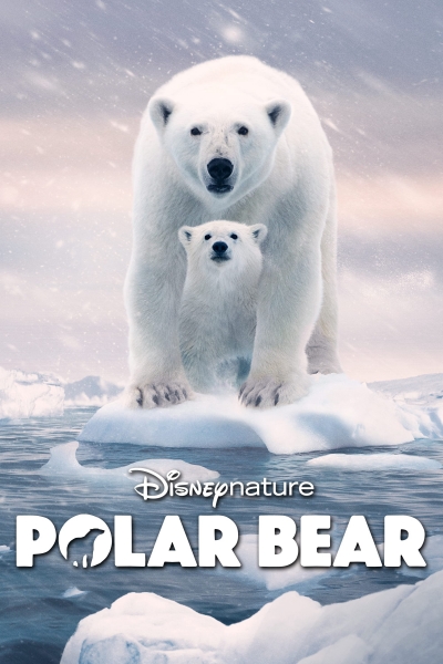 Polar Bear / Polar Bear (2022)