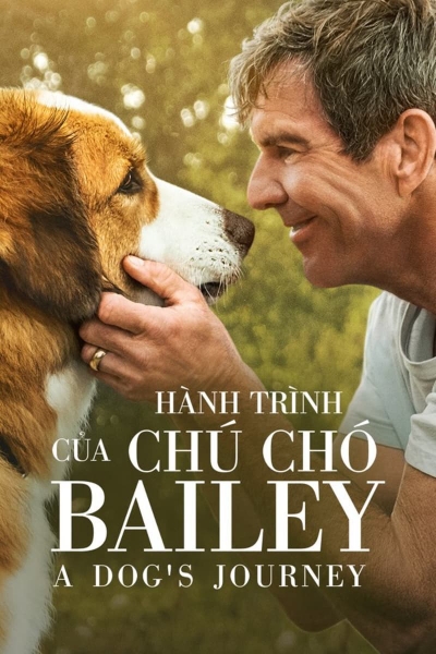 Hành Trình Của Chú Chó Bailey, A Dog's Journey / A Dog's Journey (2019)