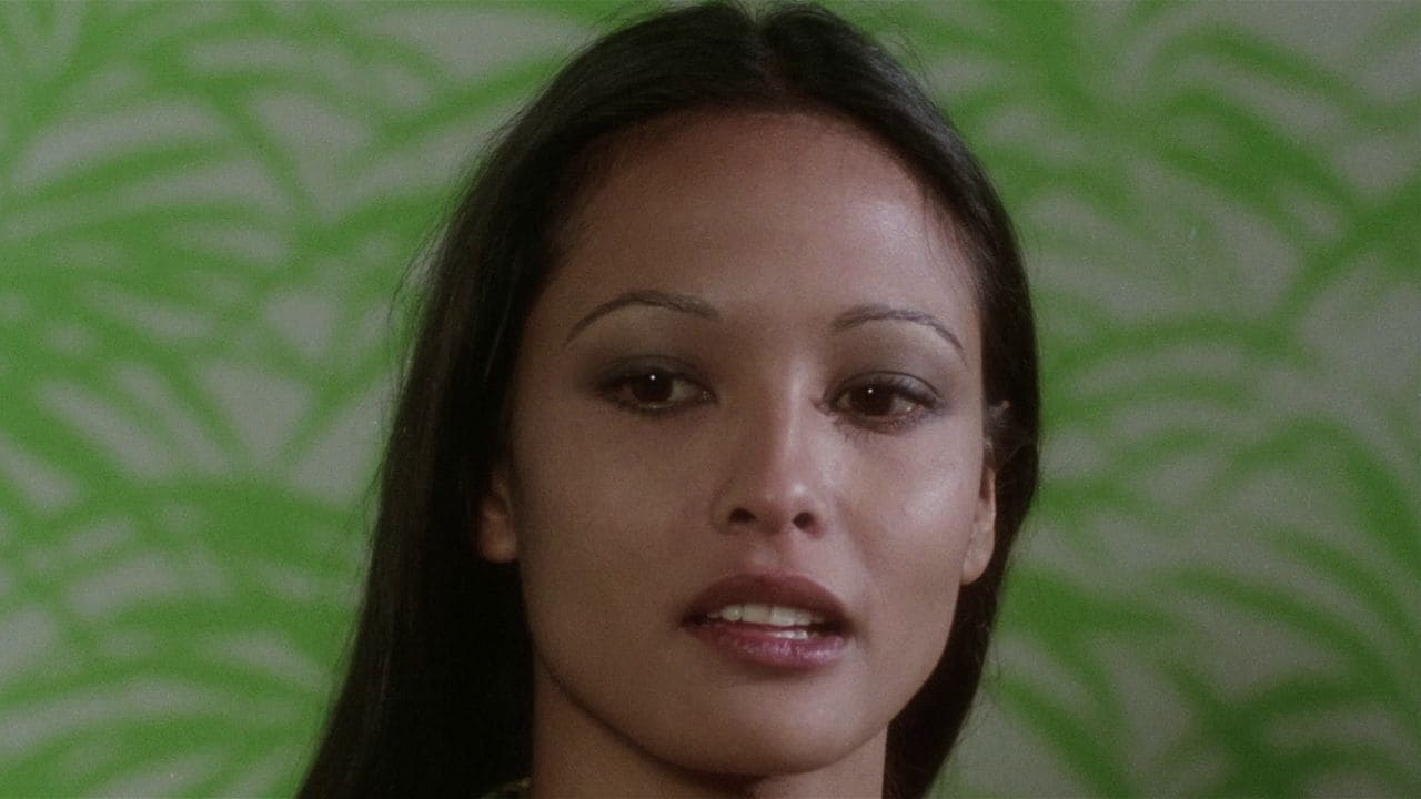 Xem Phim Yêu Nữ Rắn Đen, Black Cobra 1976 Xem Phim Yêu Nữ Rắn Đen, Black Cobra 1976