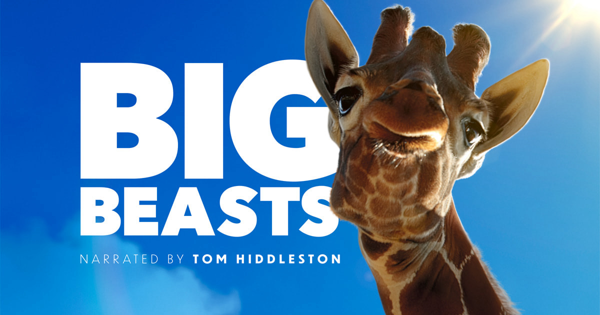 Xem Phim Big Beasts, Những Sinh Vật Phi Thường 2023 Xem Phim Big Beasts, Những Sinh Vật Phi Thường 2023
