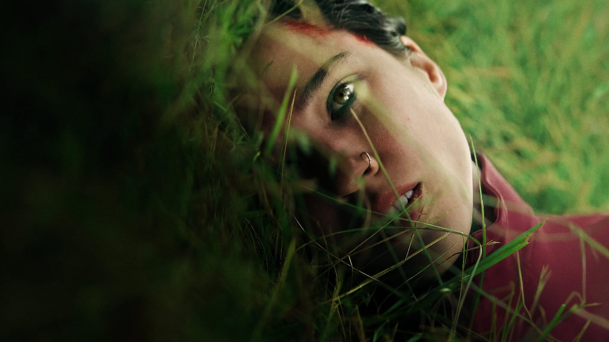 Xem Phim Đừng Cử Động, Don't Move 2024 Xem Phim Đừng Cử Động, Don't Move 2024