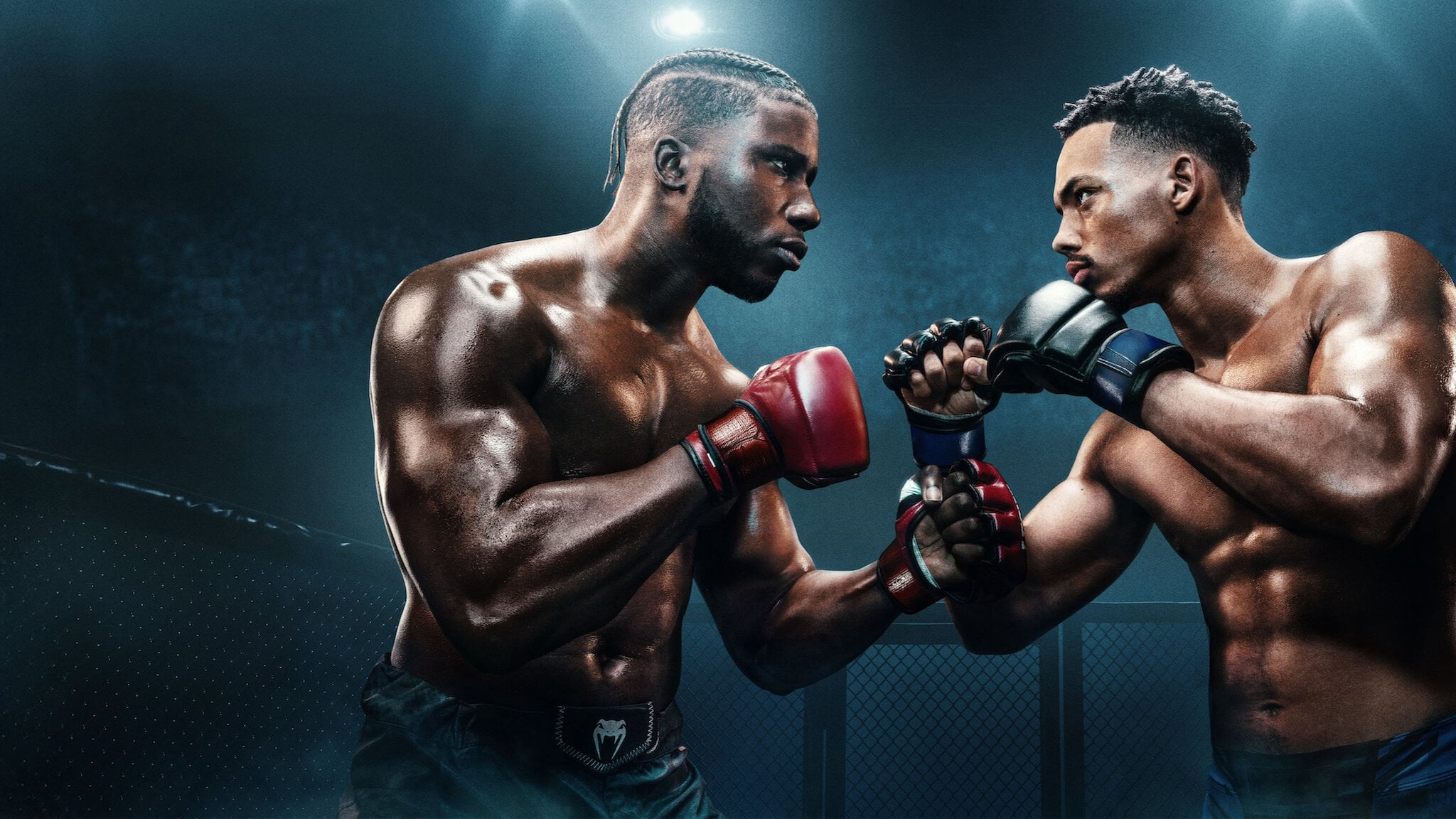 Xem Phim Chiếc lồng, The Cage 2024 Xem Phim Chiếc lồng, The Cage 2024