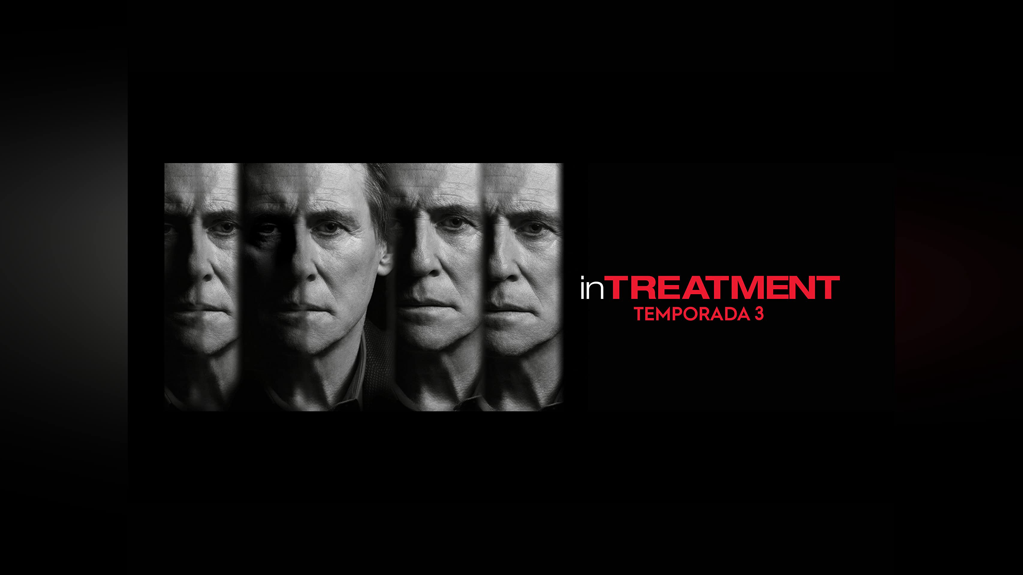 In Treatment (Season 3) / In Treatment (Season 3) (2010)