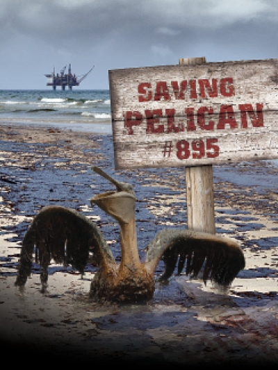 Saving Pelican 895 / Saving Pelican 895 (2011)