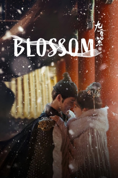 Blossom / Blossom (2024)