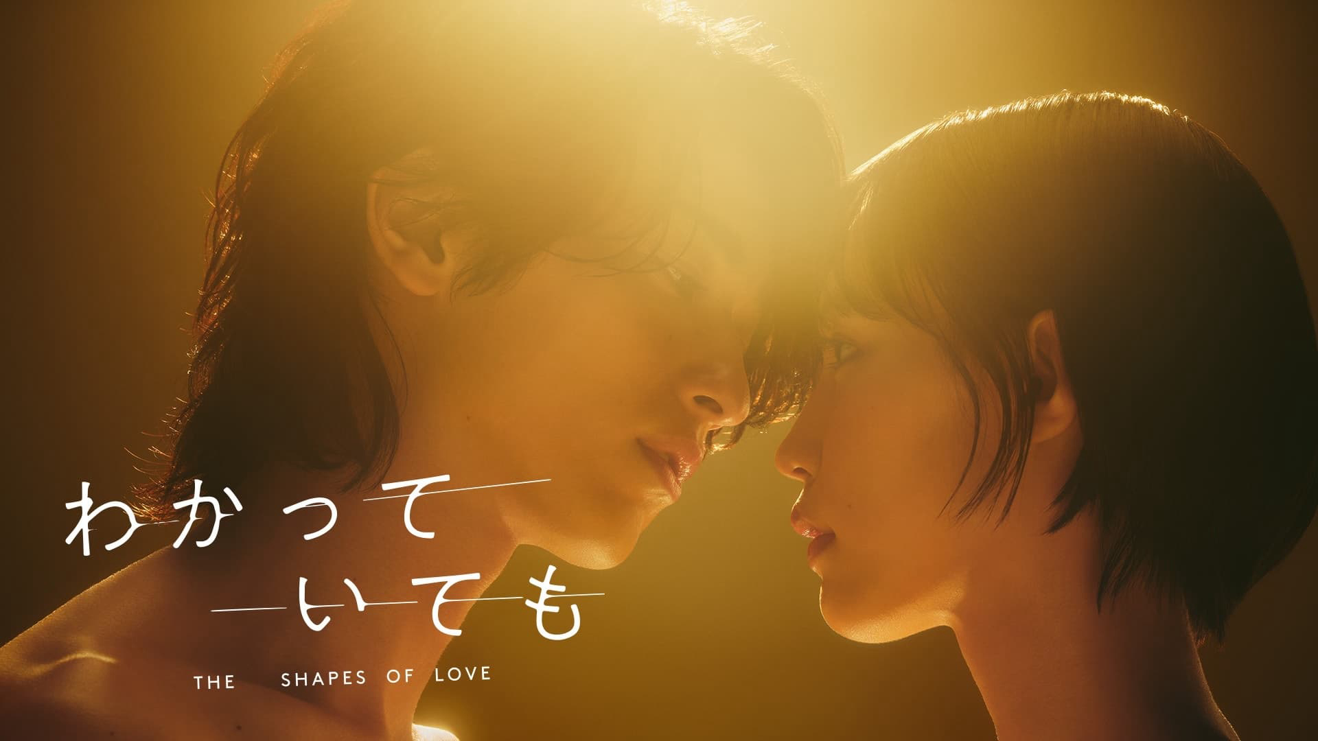 The Shapes of Love / The Shapes of Love (2024)