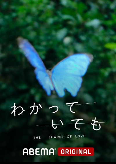 The Shapes of Love / The Shapes of Love (2024)