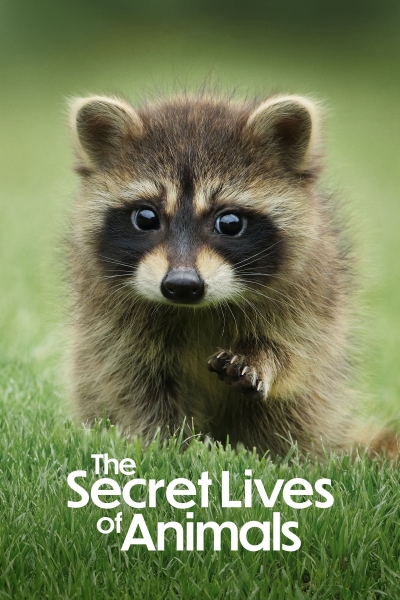 The Secret Lives of Animals / The Secret Lives of Animals (2024)