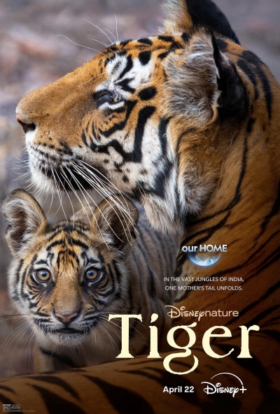 Tiger / Tiger (2024)