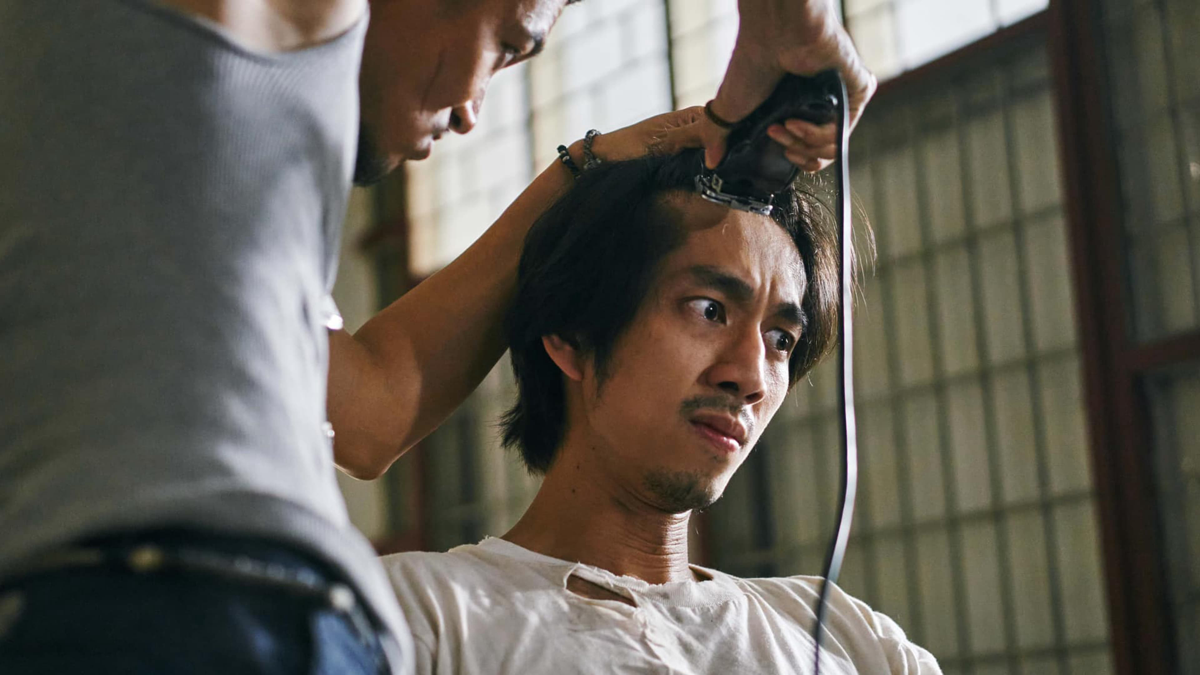 Xem Phim Tuổi Trẻ 2001, In Youth We Trust 2024 Xem Phim Tuổi Trẻ 2001, In Youth We Trust 2024