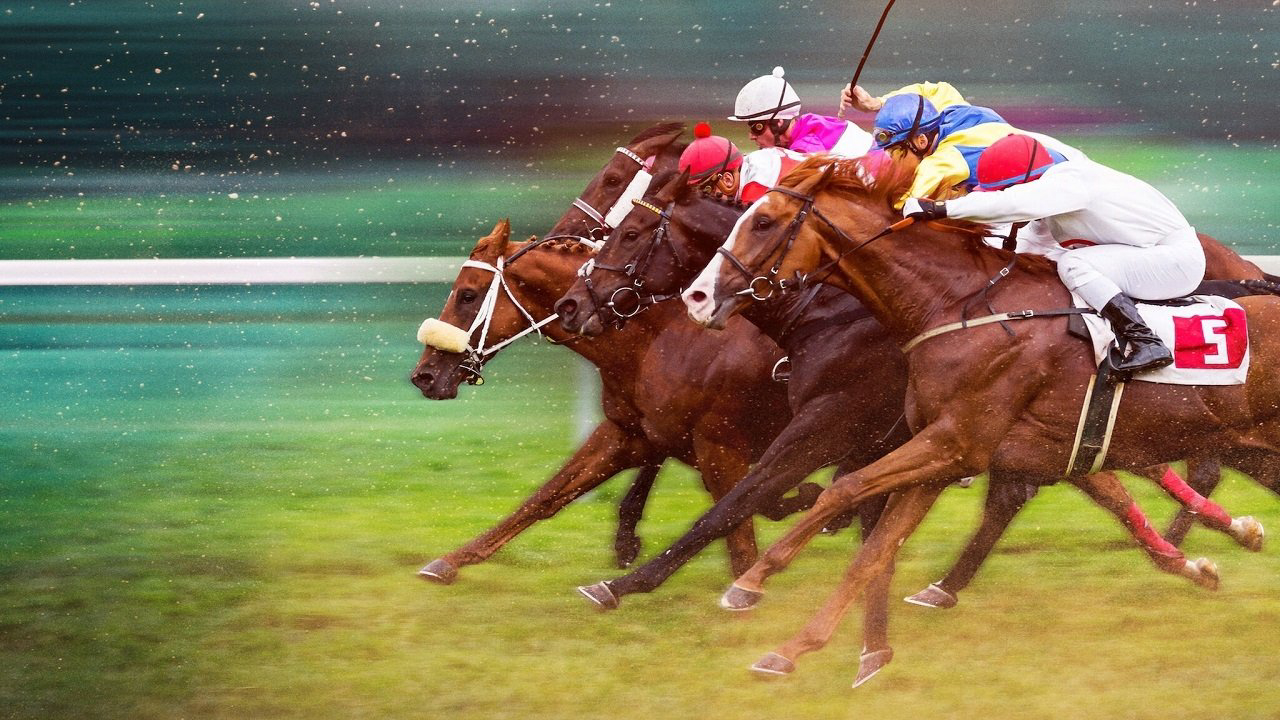 Race for the Crown / Race for the Crown (2025)