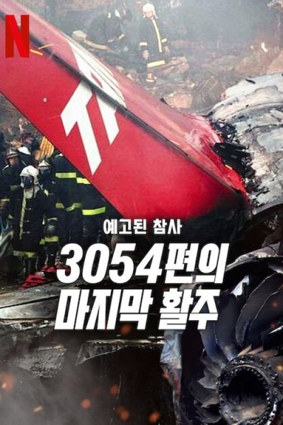 A Tragedy Foretold: Flight 3054 / A Tragedy Foretold: Flight 3054 (2025)