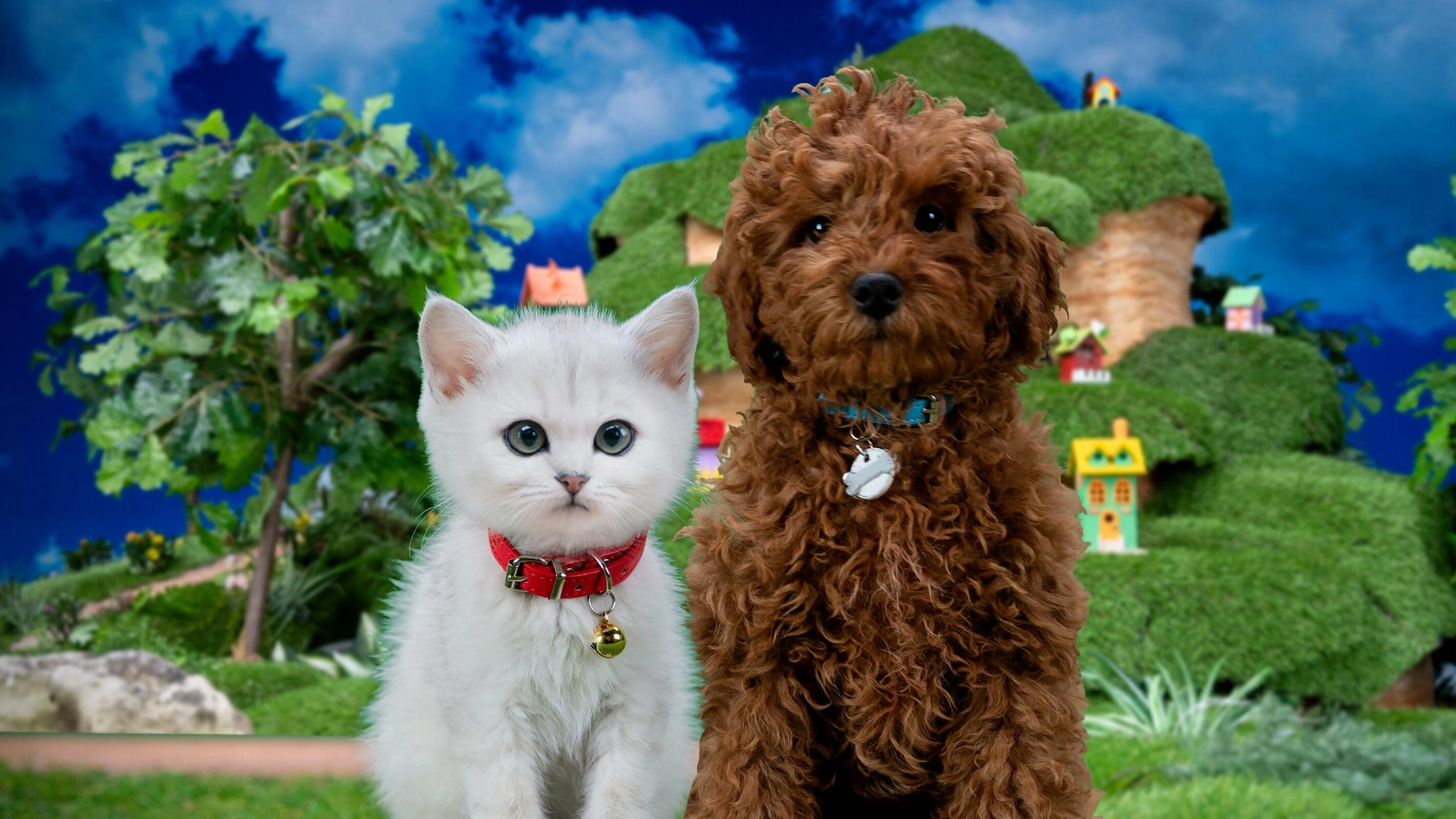 Xem Phim Mittens Và Pants, Mittens & Pants 2023 Xem Phim Mittens Và Pants, Mittens & Pants 2023