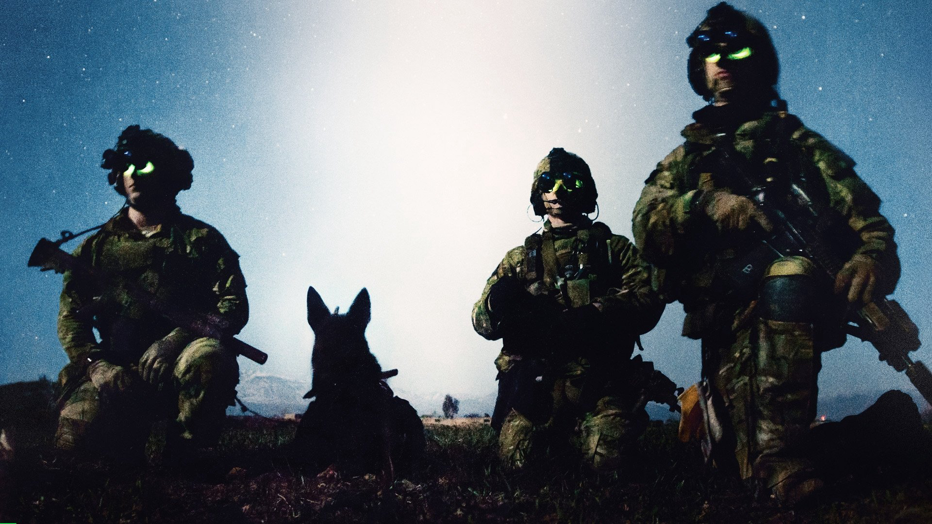War Dog: A Soldier's Best Friend / War Dog: A Soldier's Best Friend (2017)