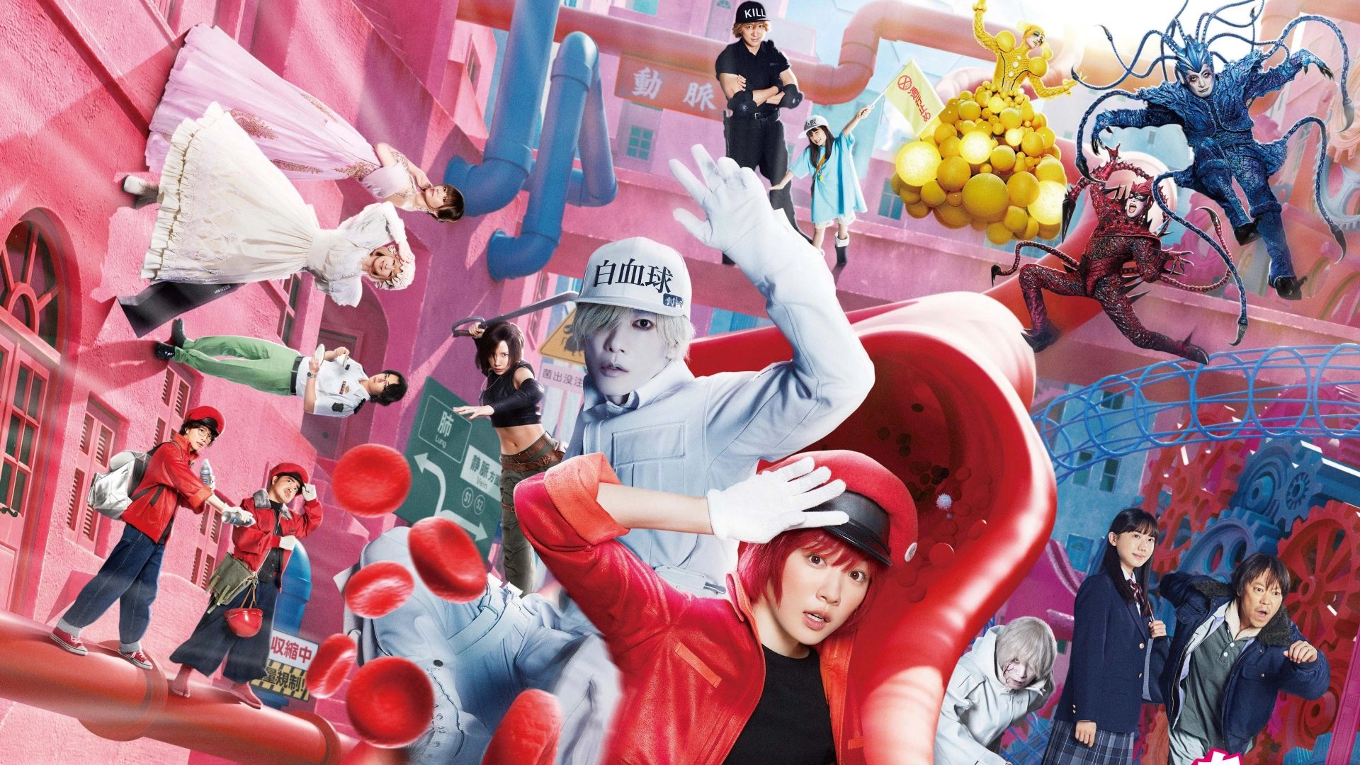 Cells at Work! / Cells at Work! (2024)