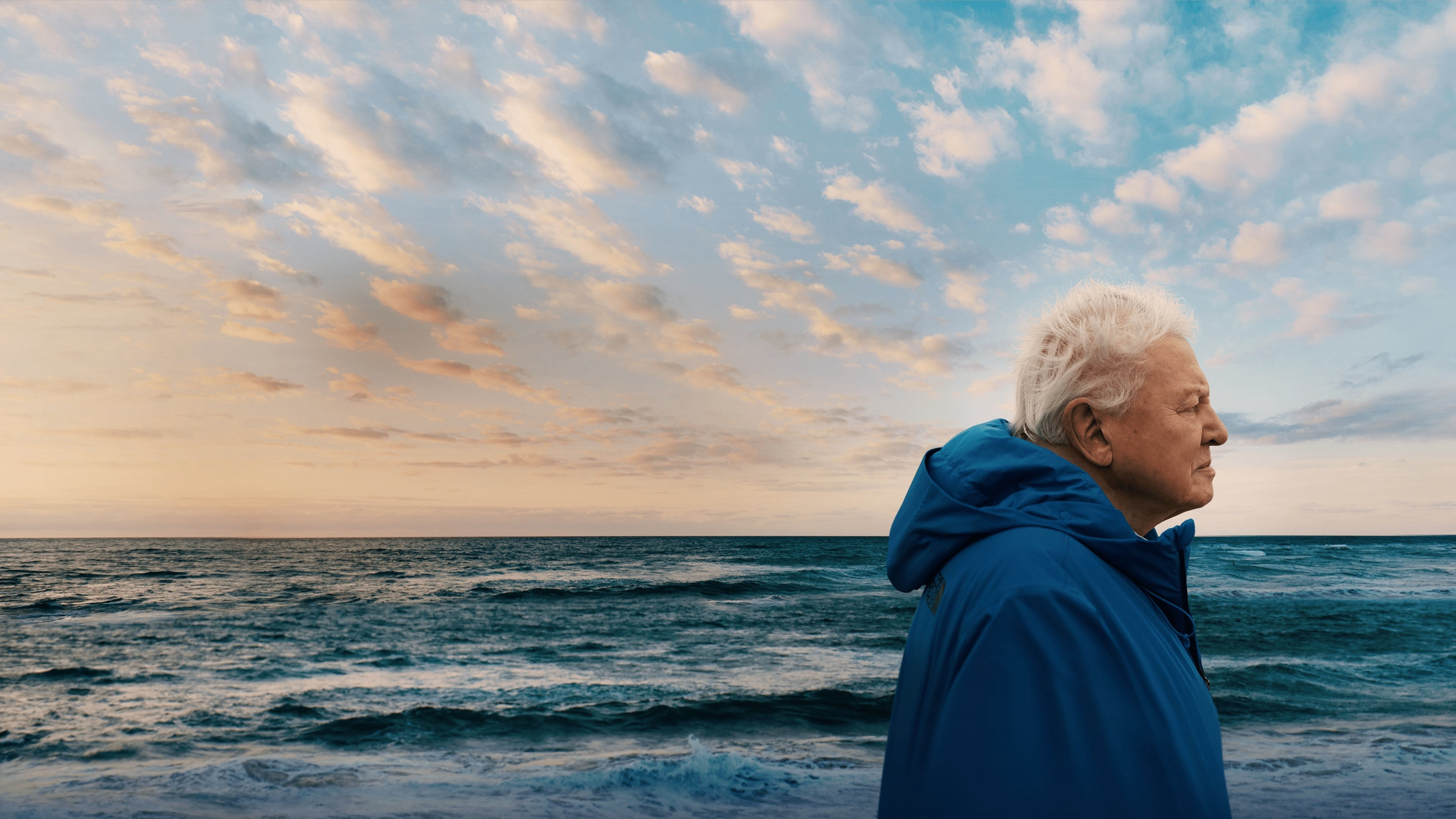 Ocean with David Attenborough / Ocean with David Attenborough (2025)