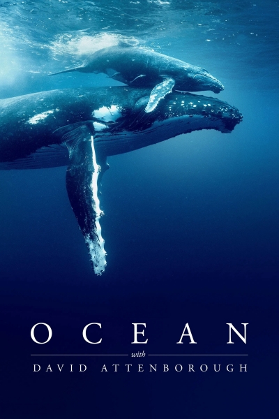Ocean with David Attenborough / Ocean with David Attenborough (2025)