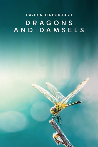 Dragons and Damsels / Dragons and Damsels (2019)