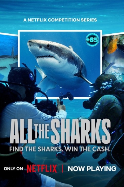 All the Sharks / All the Sharks (2025)