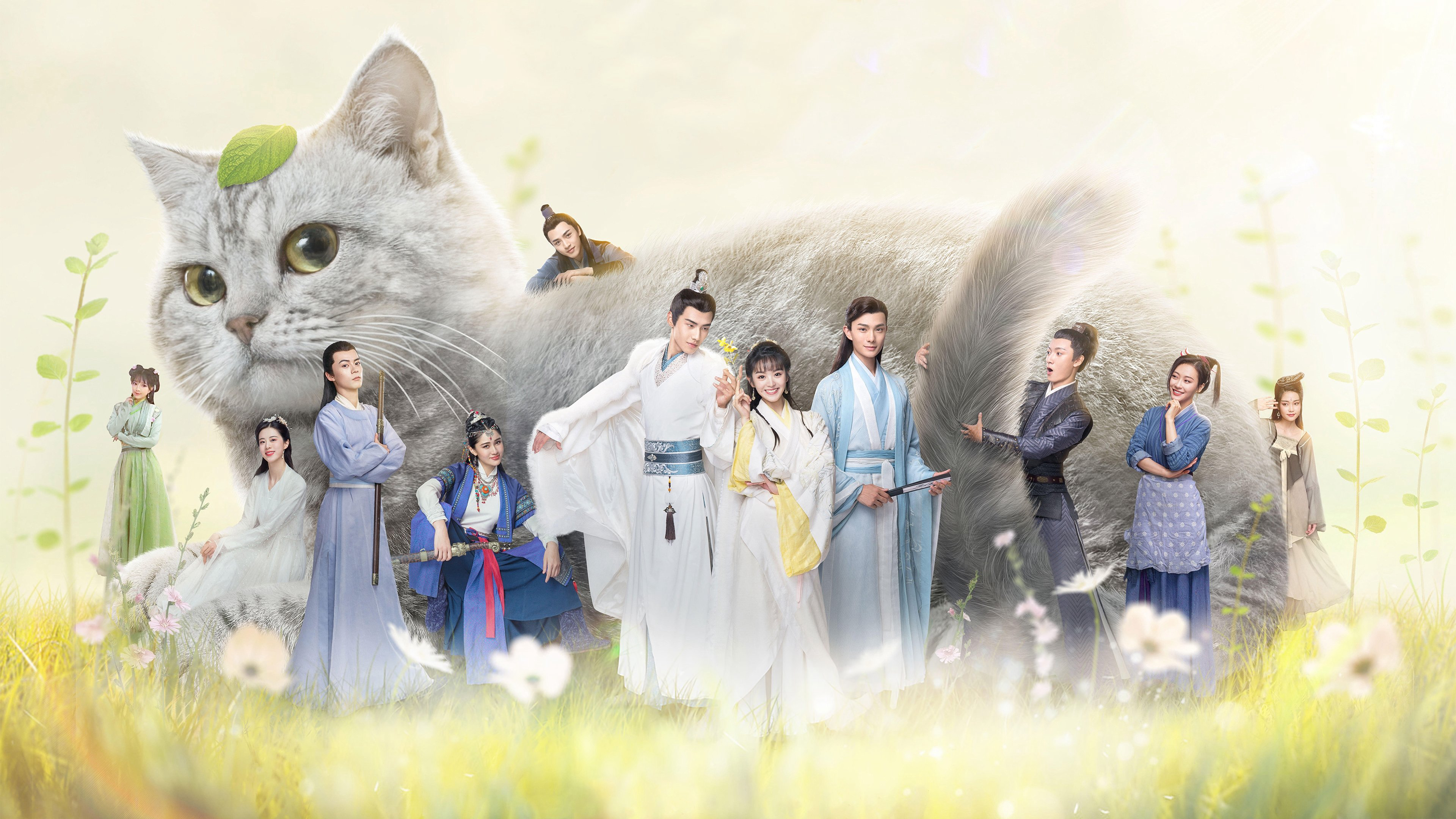 Be My Cat / Be My Cat (2021)