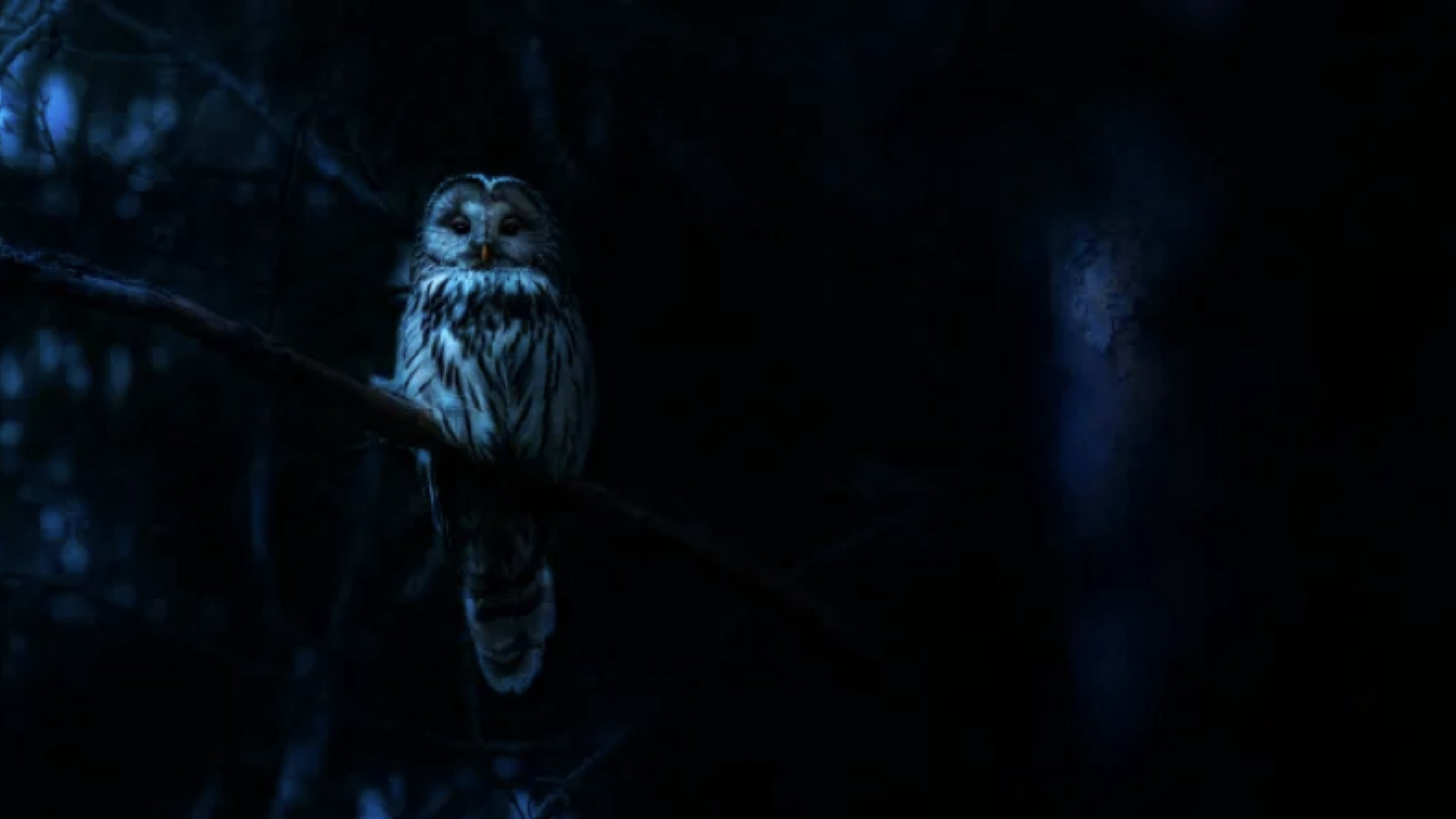 Nightmares of Nature / Nightmares of Nature (2025)