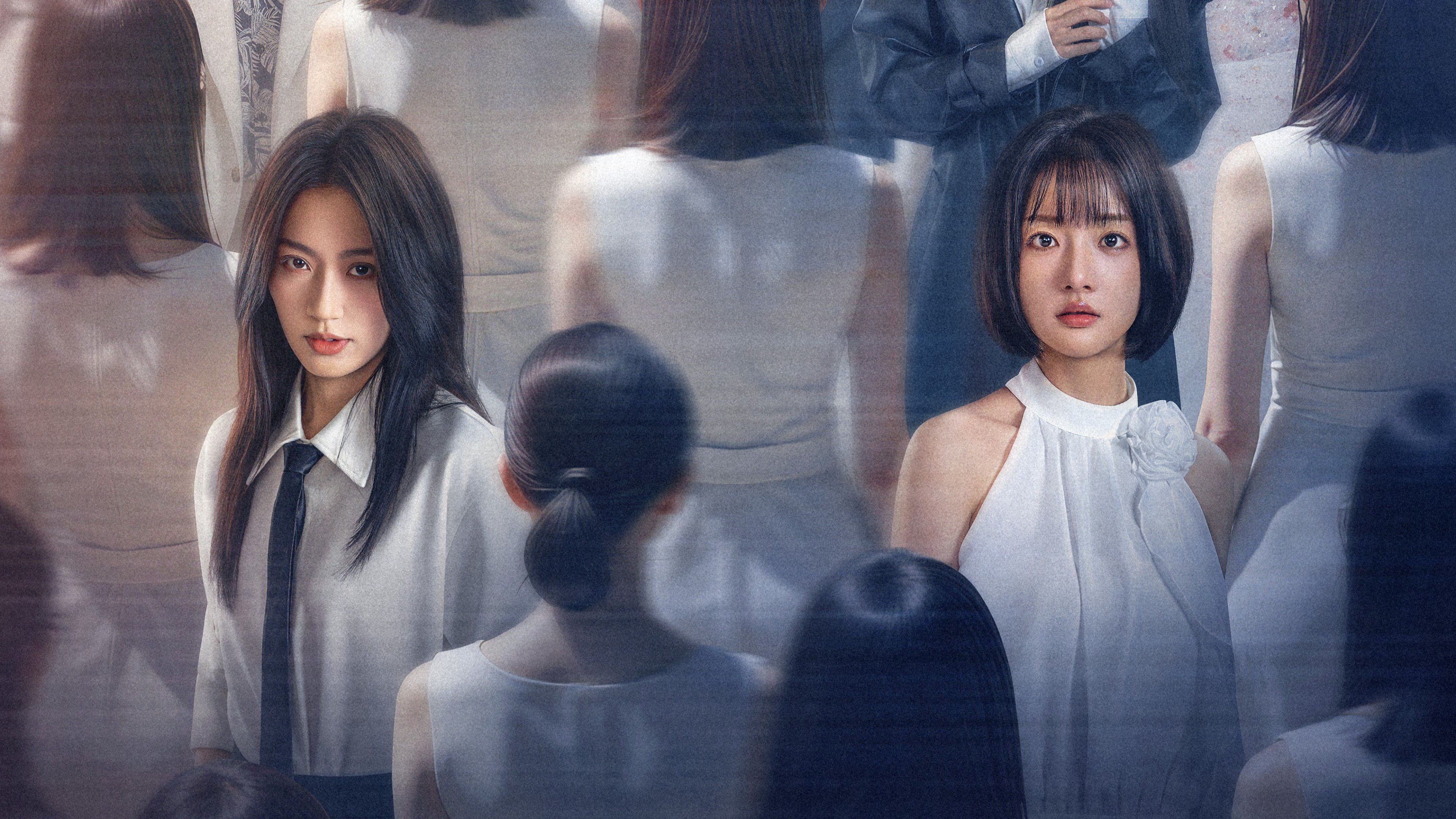 Xem Phim Lông Vũ Hoá Đao, Feathers Are Knives 2025 Xem Phim Lông Vũ Hoá Đao, Feathers Are Knives 2025