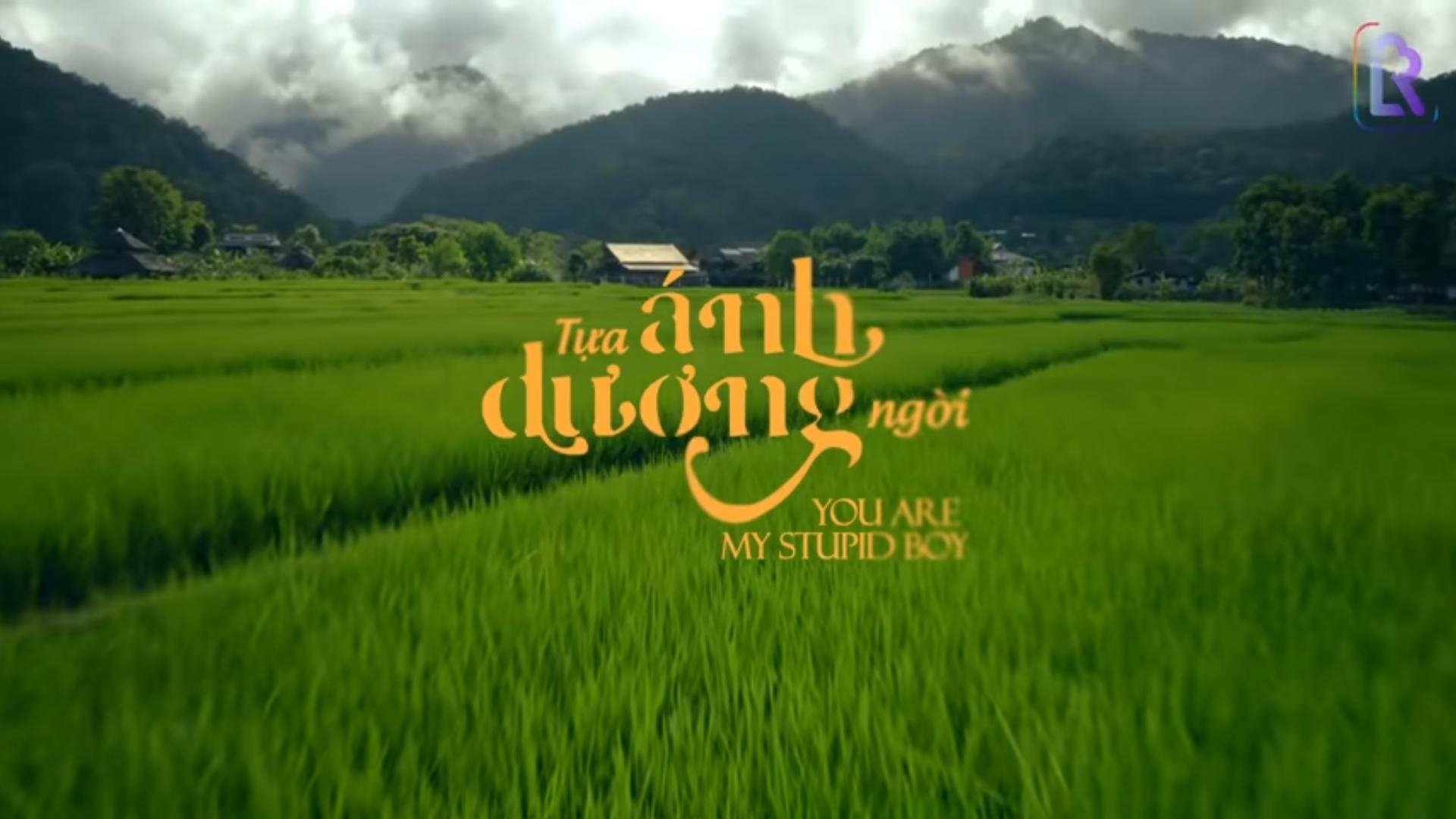 You Are My Stupid Boy / You Are My Stupid Boy (2022)