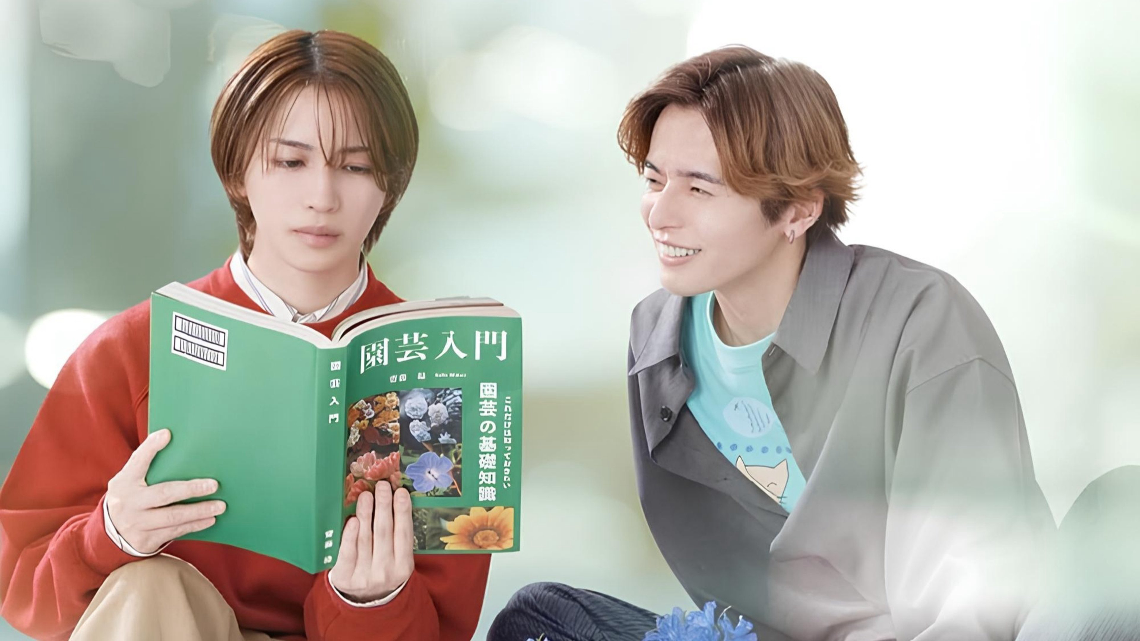 Xem Phim Cách Viết Tình Yêu Đúng Cách, The Proper Way to Write Love 2025 Xem Phim Cách Viết Tình Yêu Đúng Cách, The Proper Way to Write Love 2025
