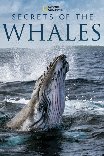 Secrets of the Whales / Secrets of the Whales (2021)