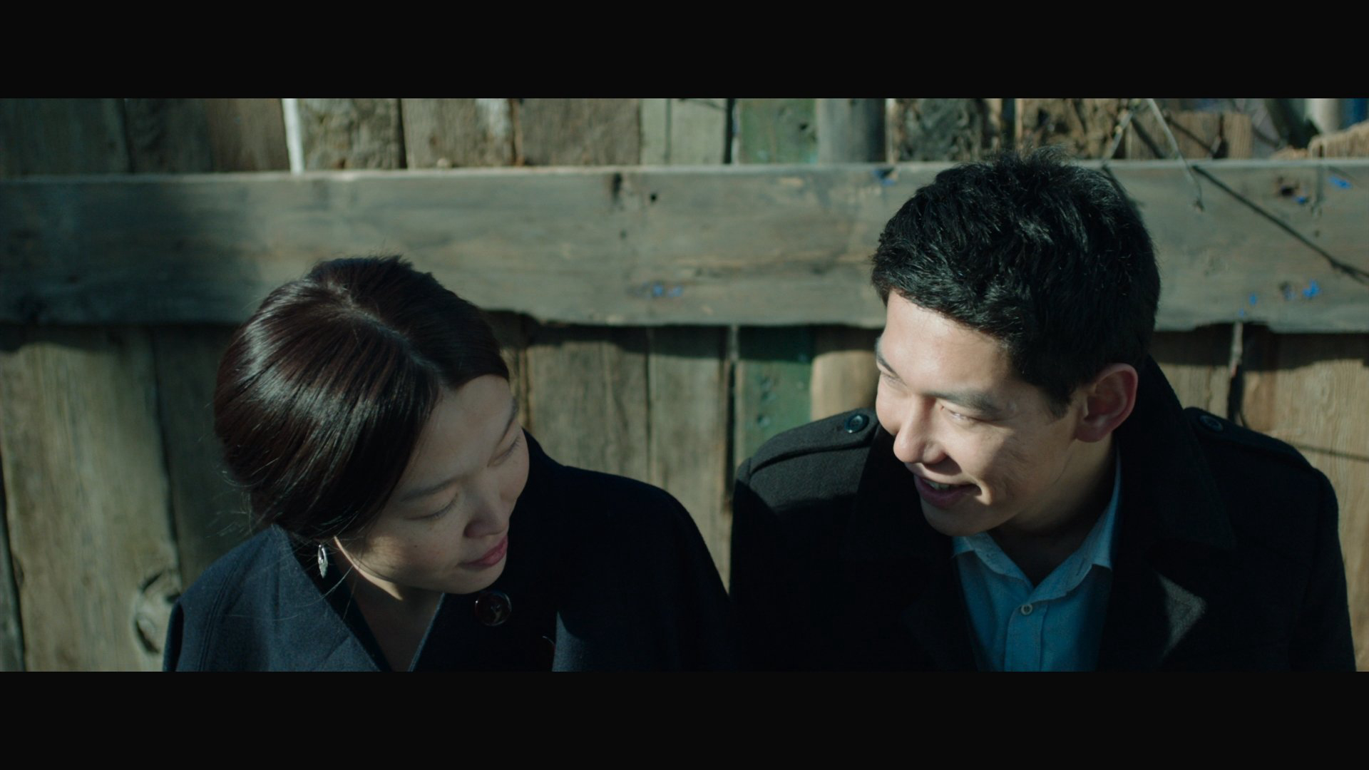 The Gulls / The Gulls (2015)