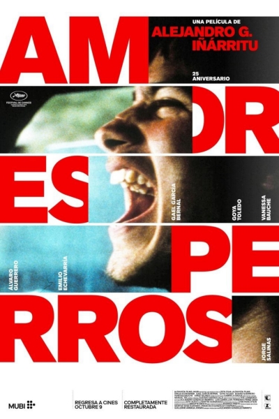 Amores Perros / Amores Perros (2000) Amores Perros / Amores Perros (2000)