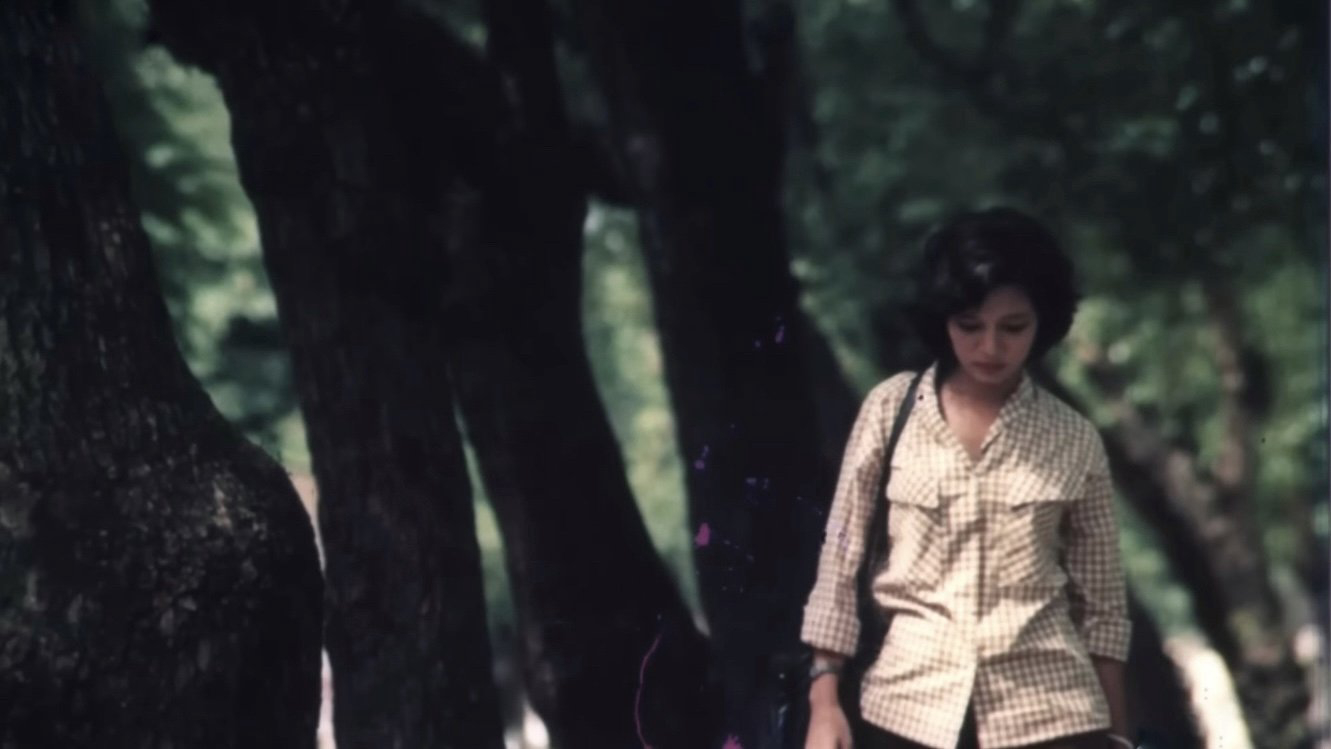 The Girl on the River / The Girl on the River (1987)