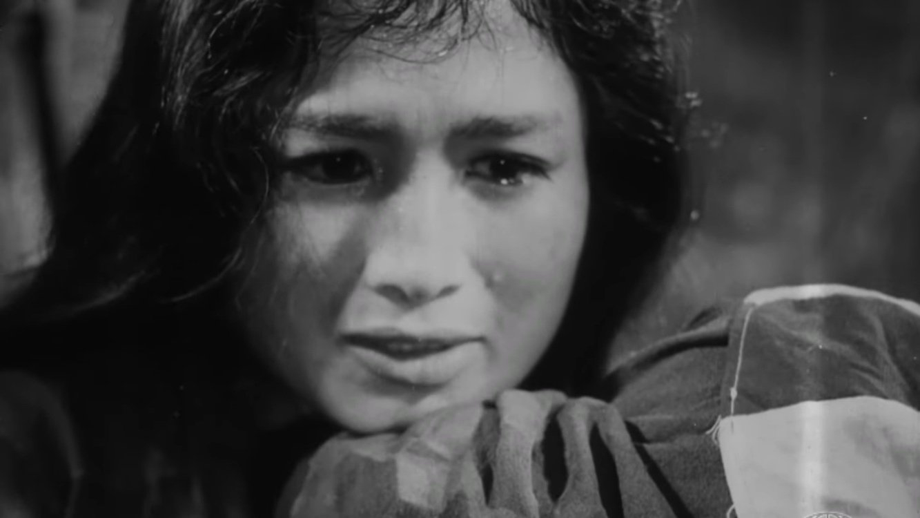 17th Parallel, Nights and Days / 17th Parallel, Nights and Days (1973)