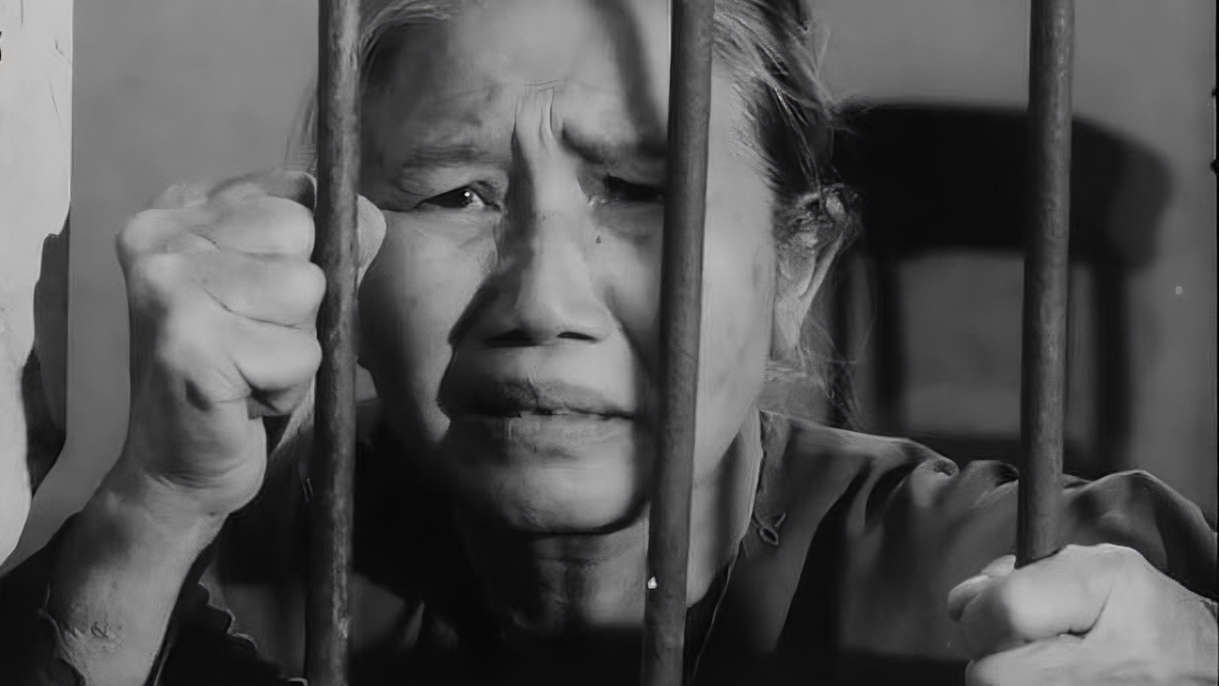 Xem Phim Tướng Về Hưu, The General Retires 1988 Xem Phim Tướng Về Hưu, The General Retires 1988