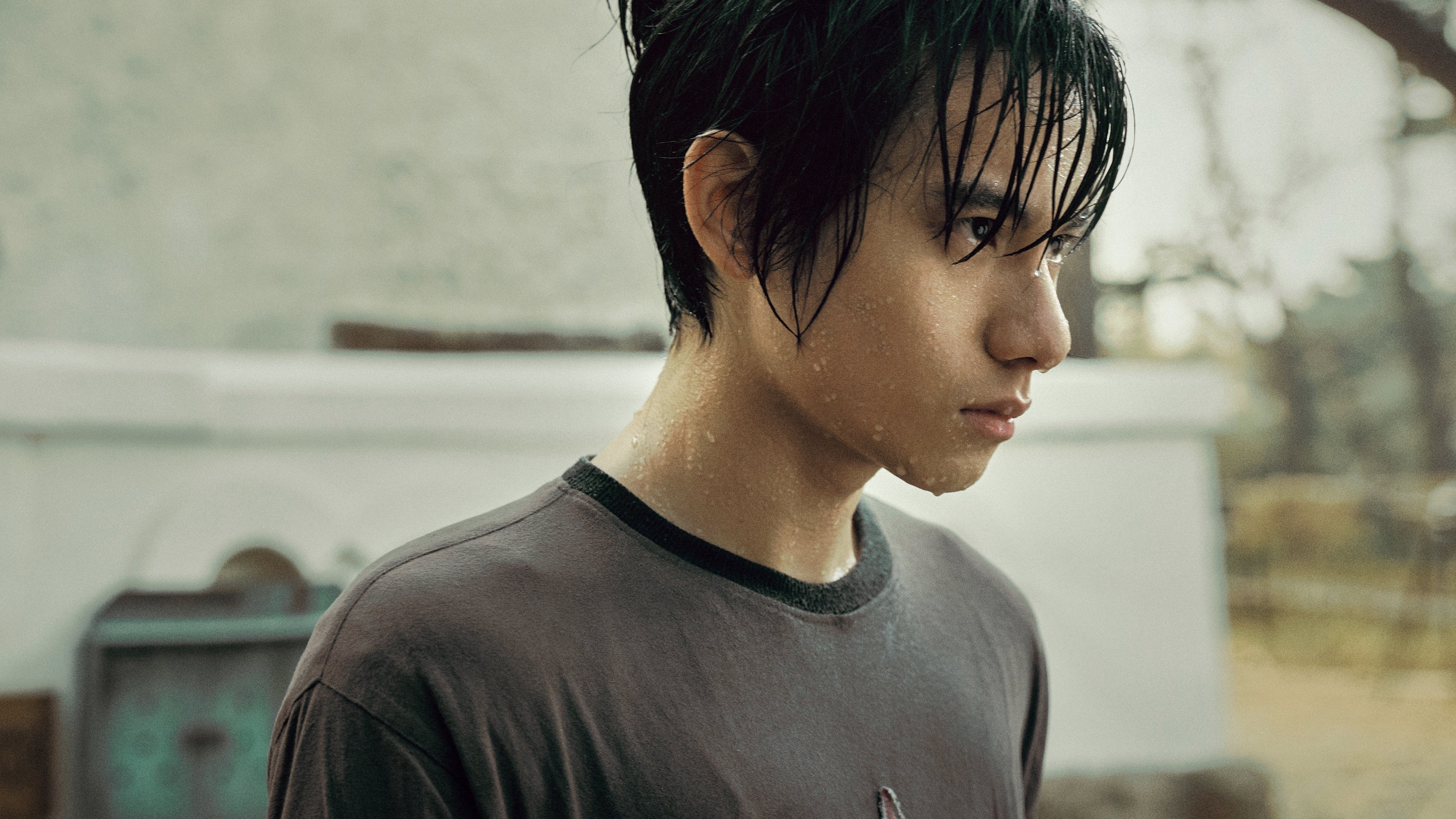 The Traveller / The Traveller (2024)