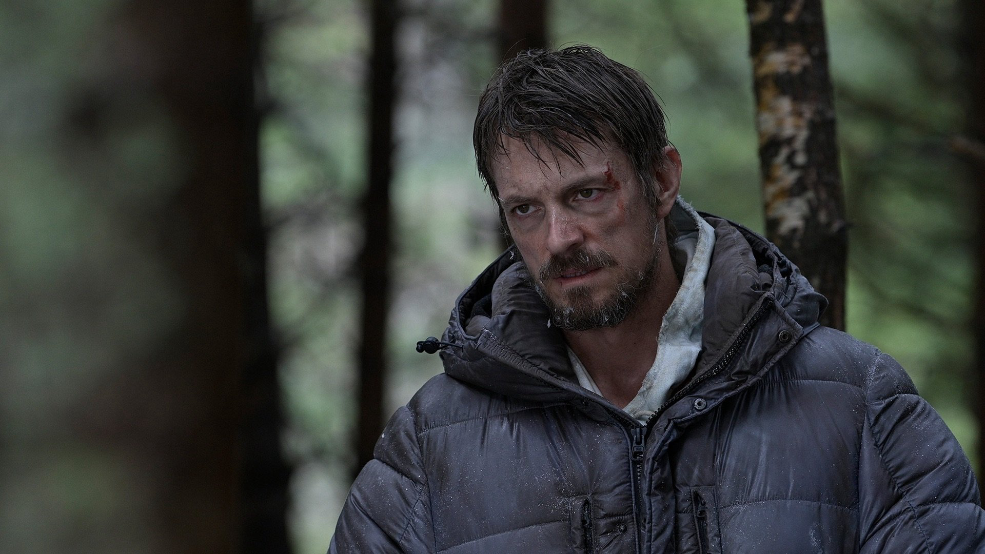 Icefall / Icefall (2025)