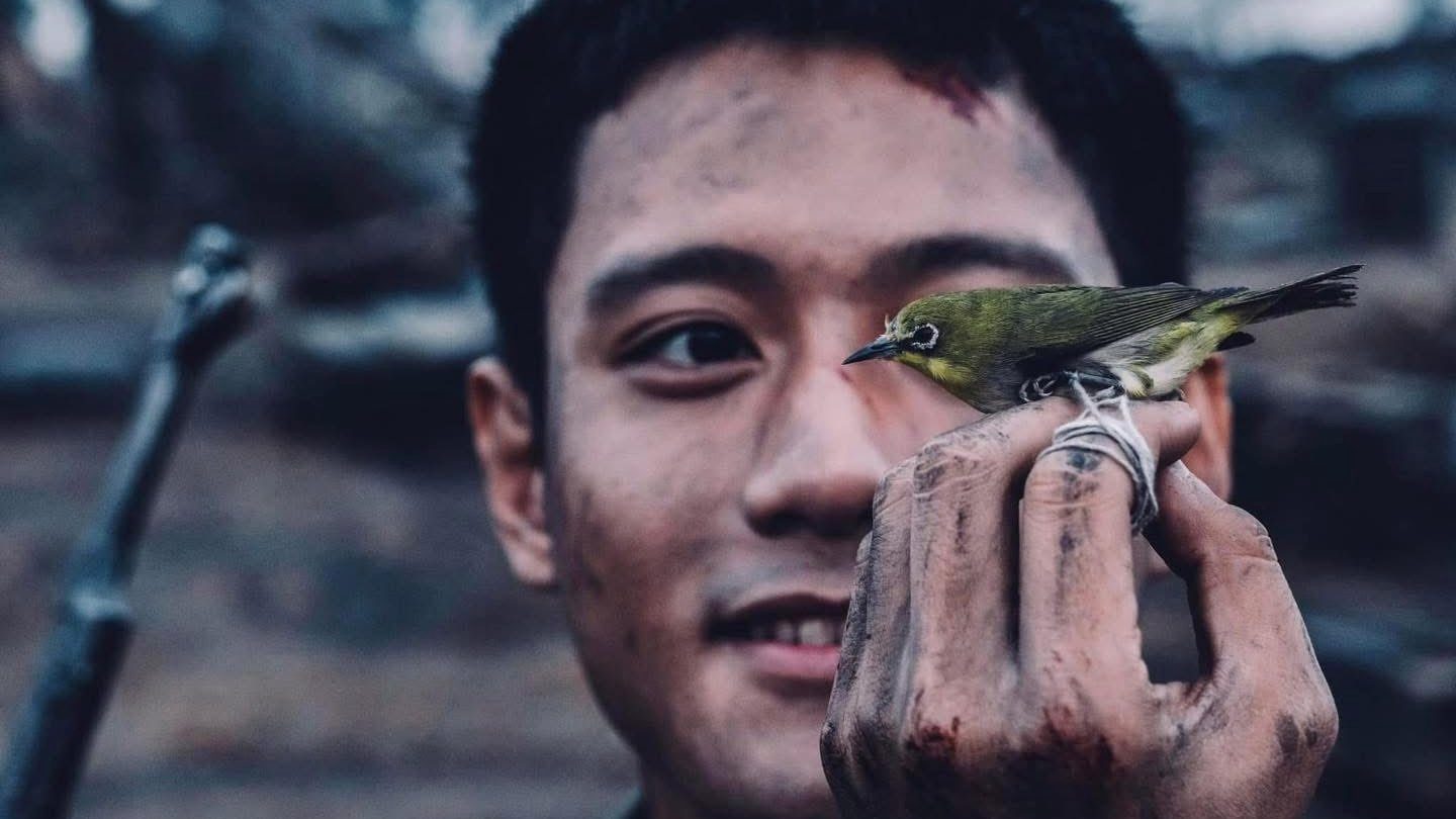 Xem Phim Mưa Đỏ, Red Rain 2025 Xem Phim Mưa Đỏ, Red Rain 2025