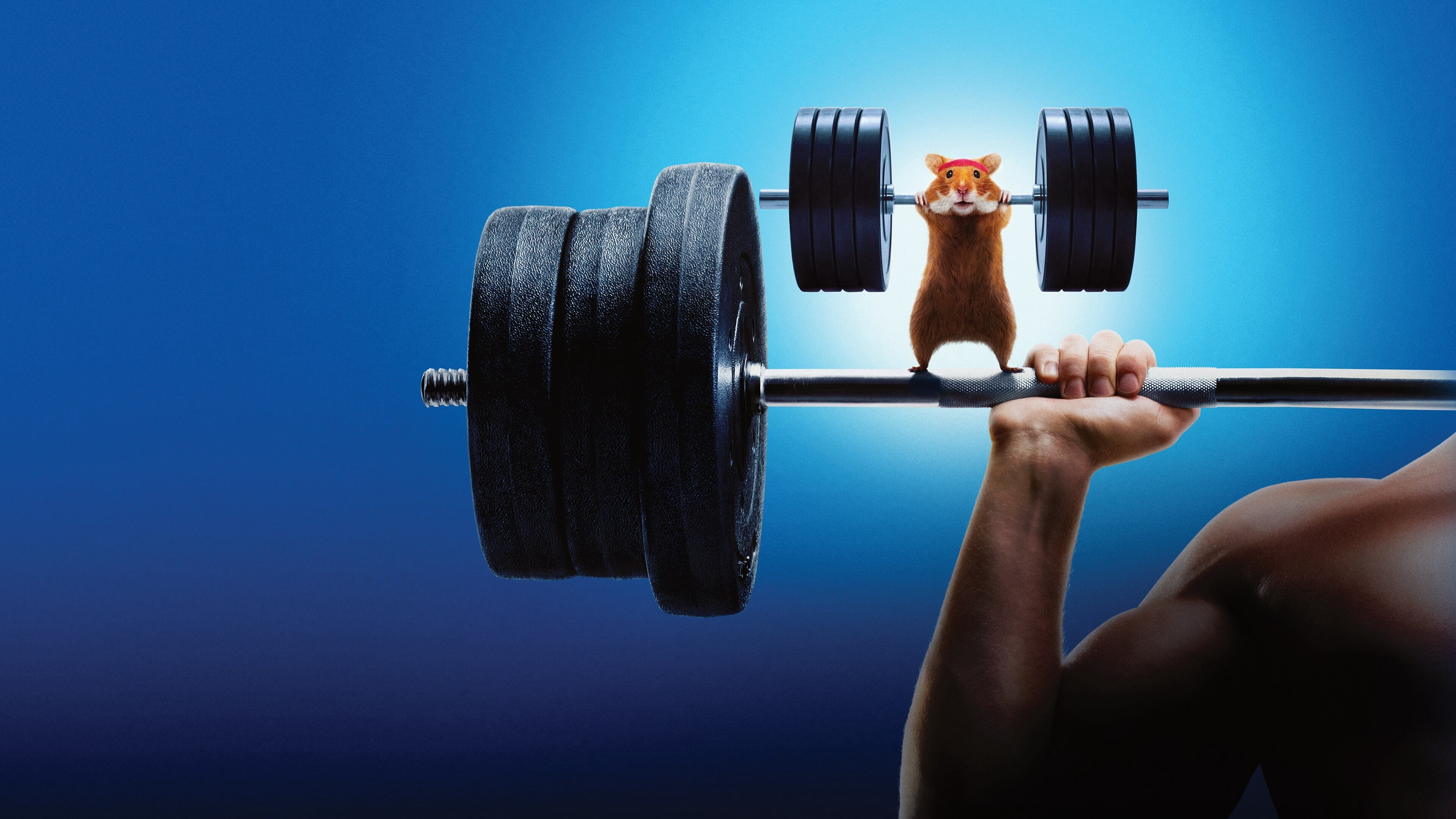 Human vs Hamster / Human vs Hamster (2024)