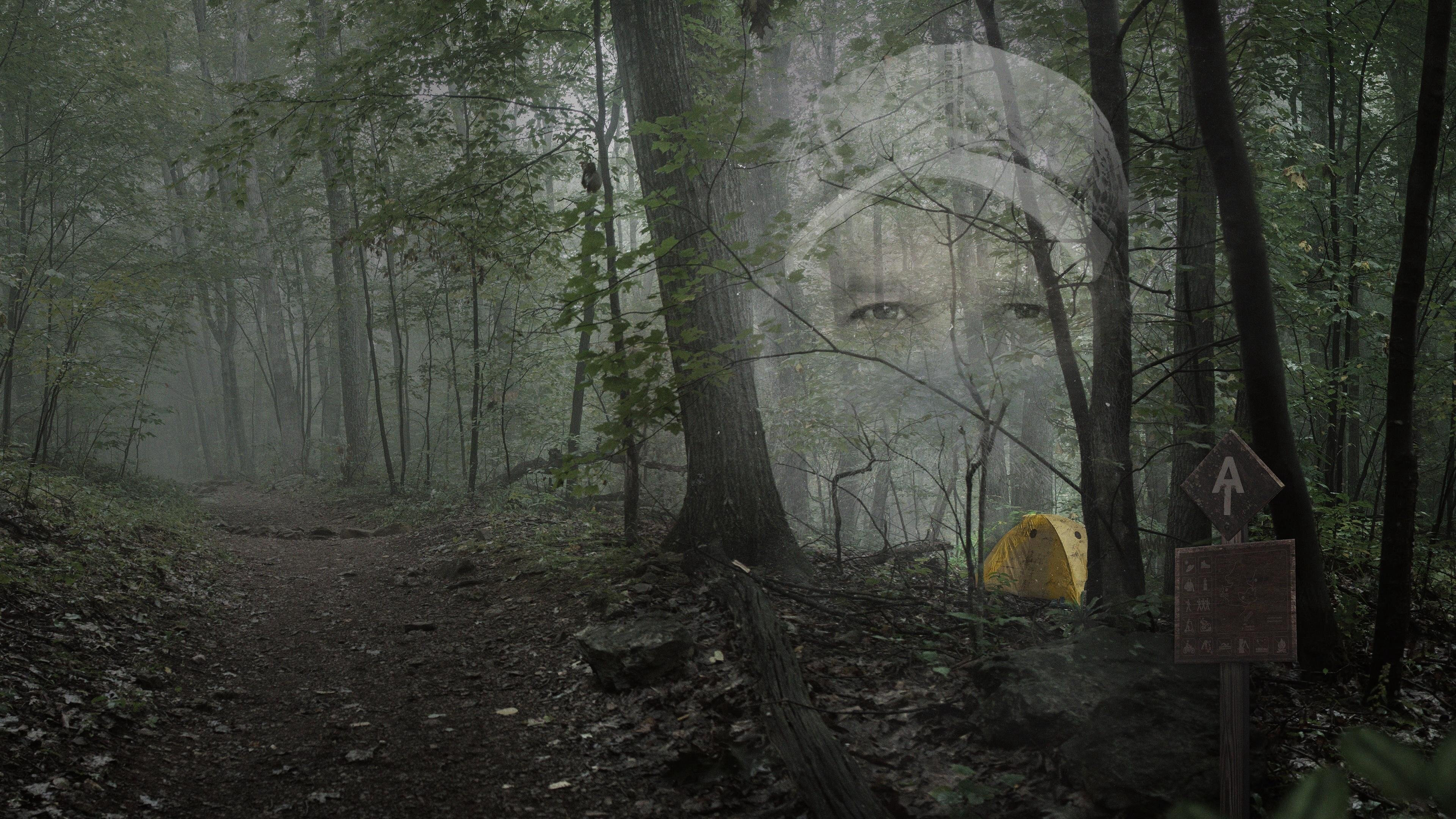 They Called Him Mostly Harmless / They Called Him Mostly Harmless (2024)