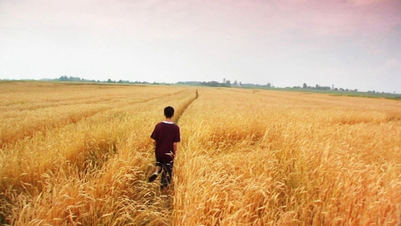 Innocent / Innocent (2005)