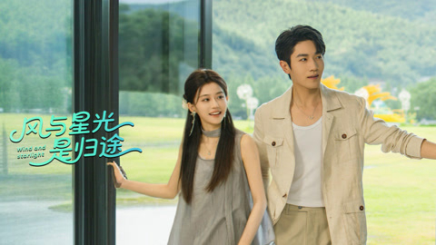 Wind and Starlight / Wind and Starlight (2025)