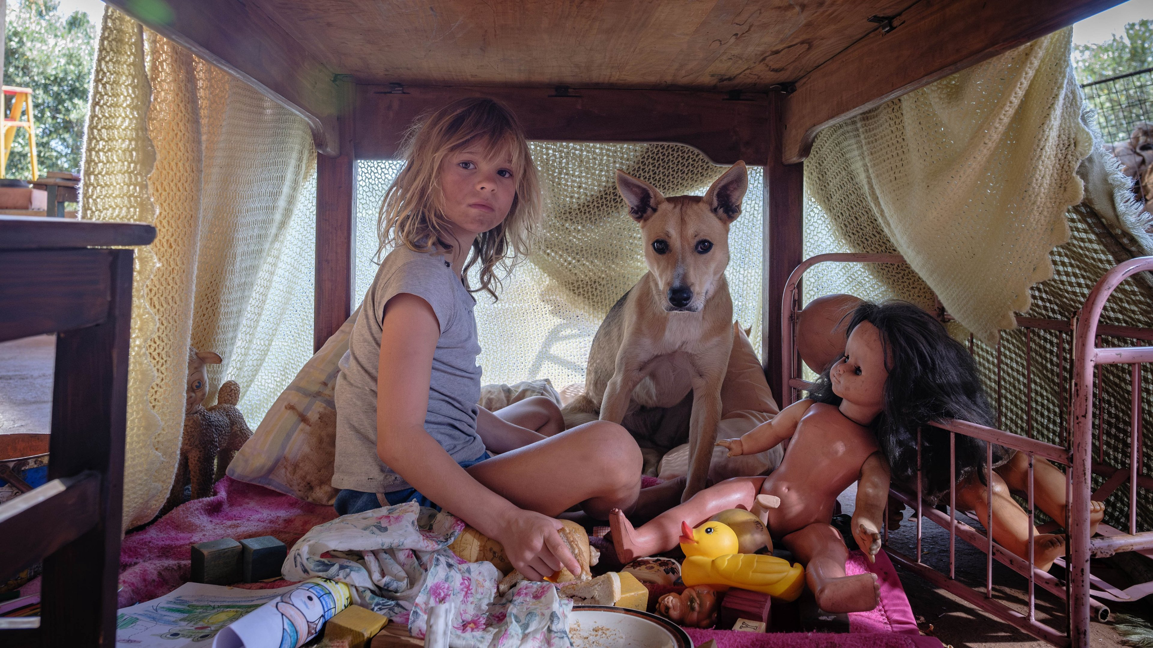 Don't Let's Go to the Dogs Tonight / Don't Let's Go to the Dogs Tonight (2025)