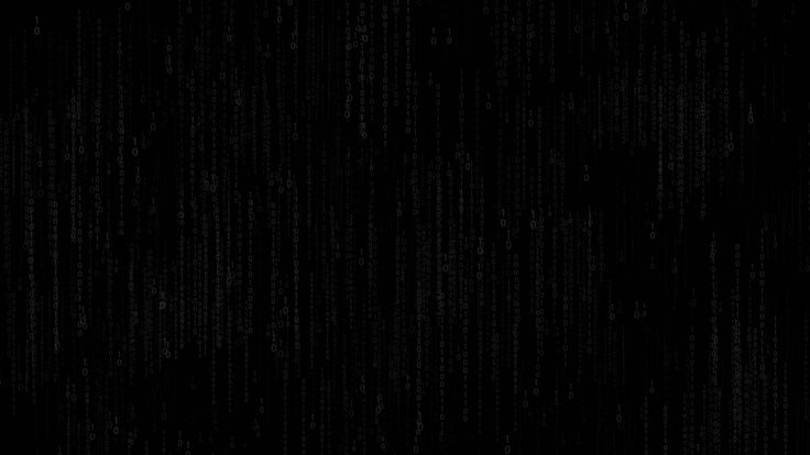 Jia Dao Zhong Er / Jia Dao Zhong Er (2024)