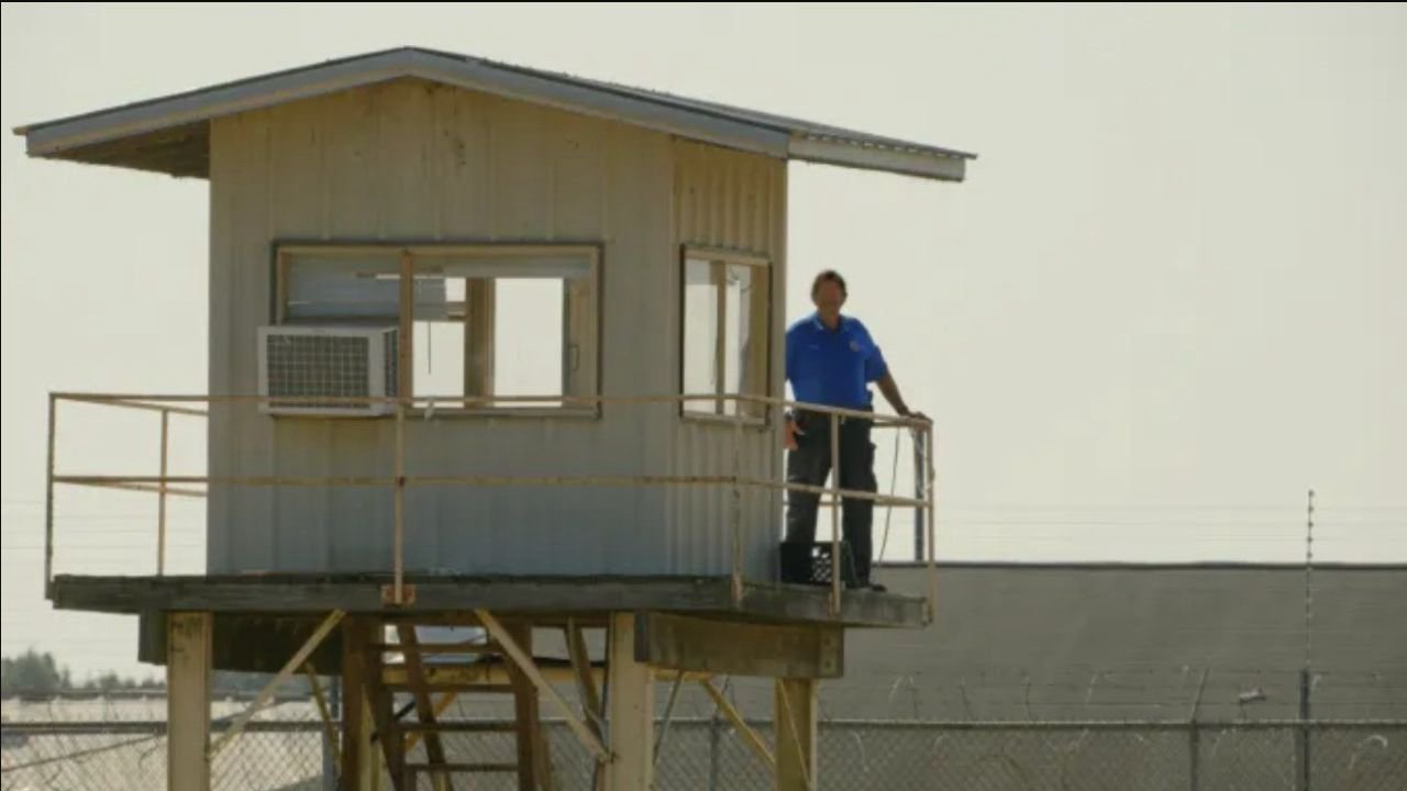 The Alabama Solution / The Alabama Solution (2025)