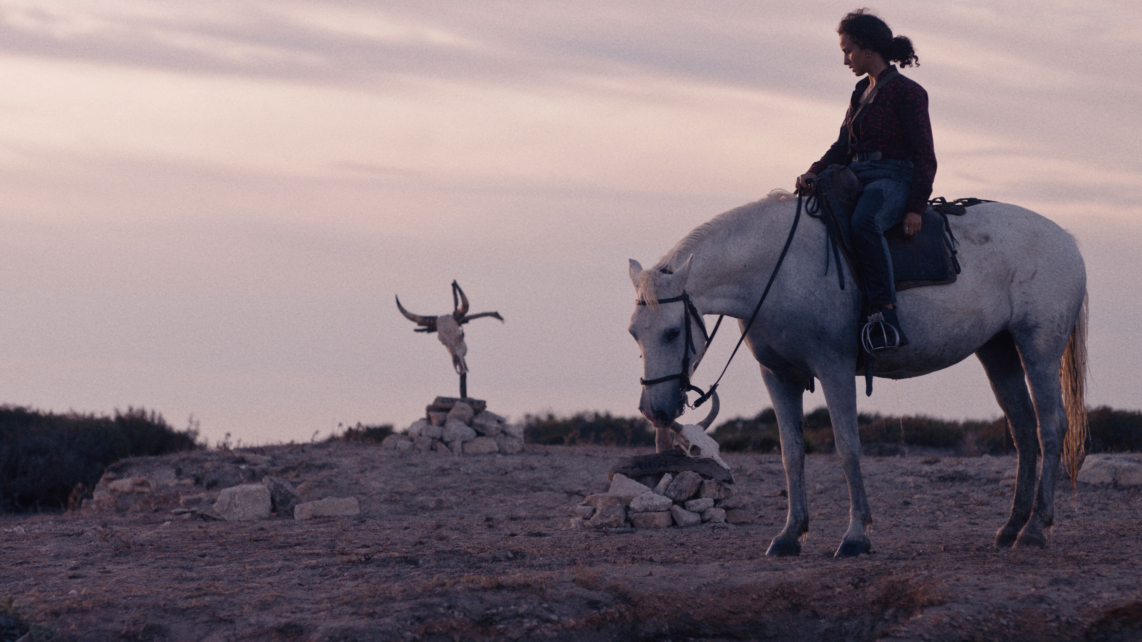 Animale / Animale (2024)