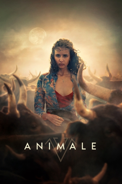 Animale / Animale (2024)