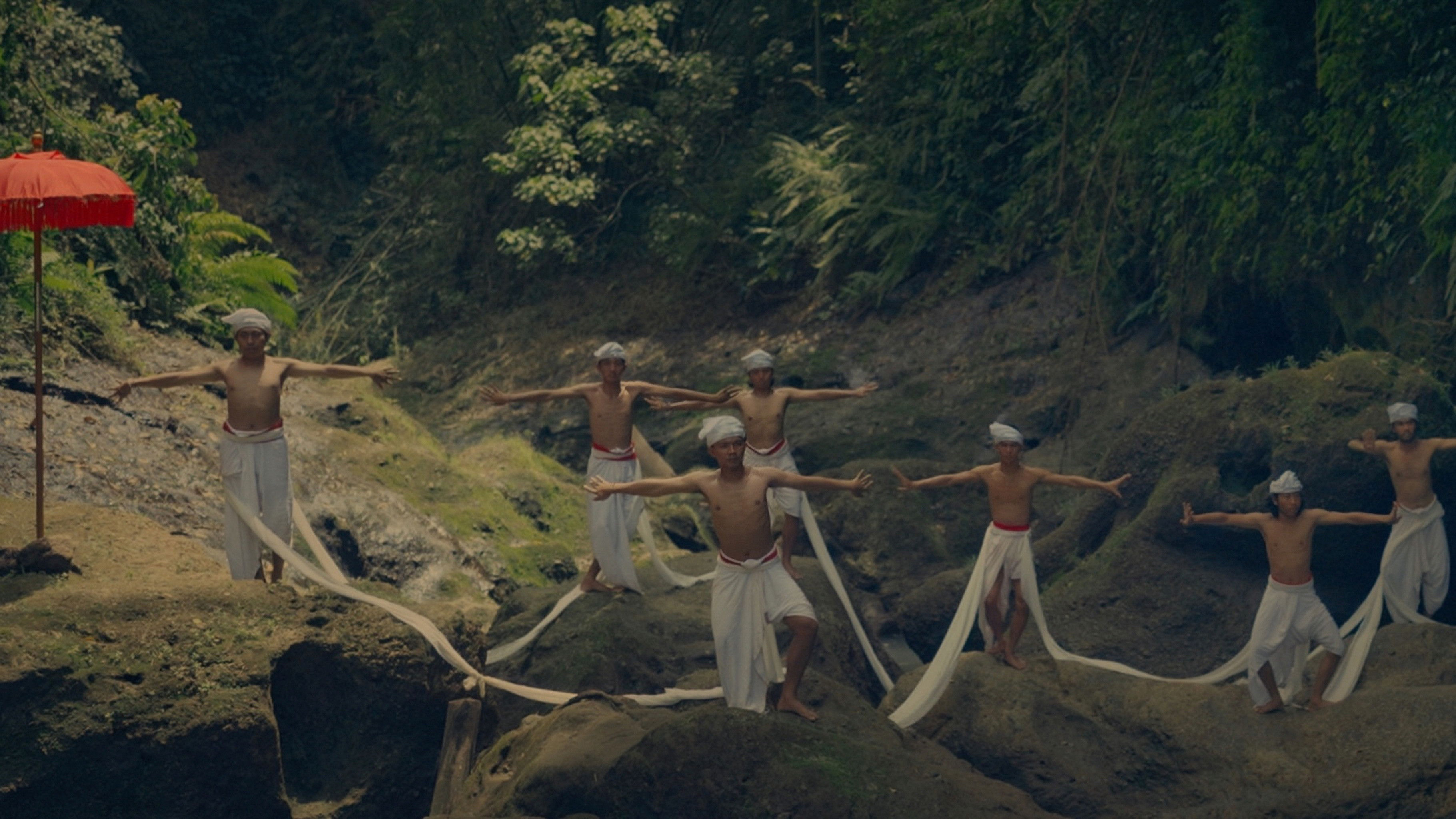 Where the Wild Frangipanis Grow / Where the Wild Frangipanis Grow (2023)