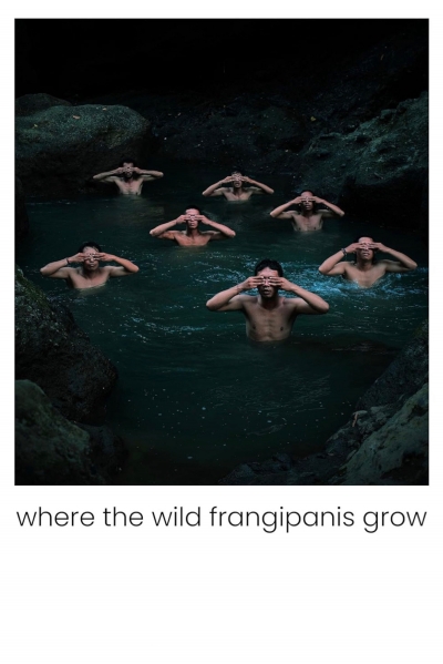 Where the Wild Frangipanis Grow / Where the Wild Frangipanis Grow (2023)